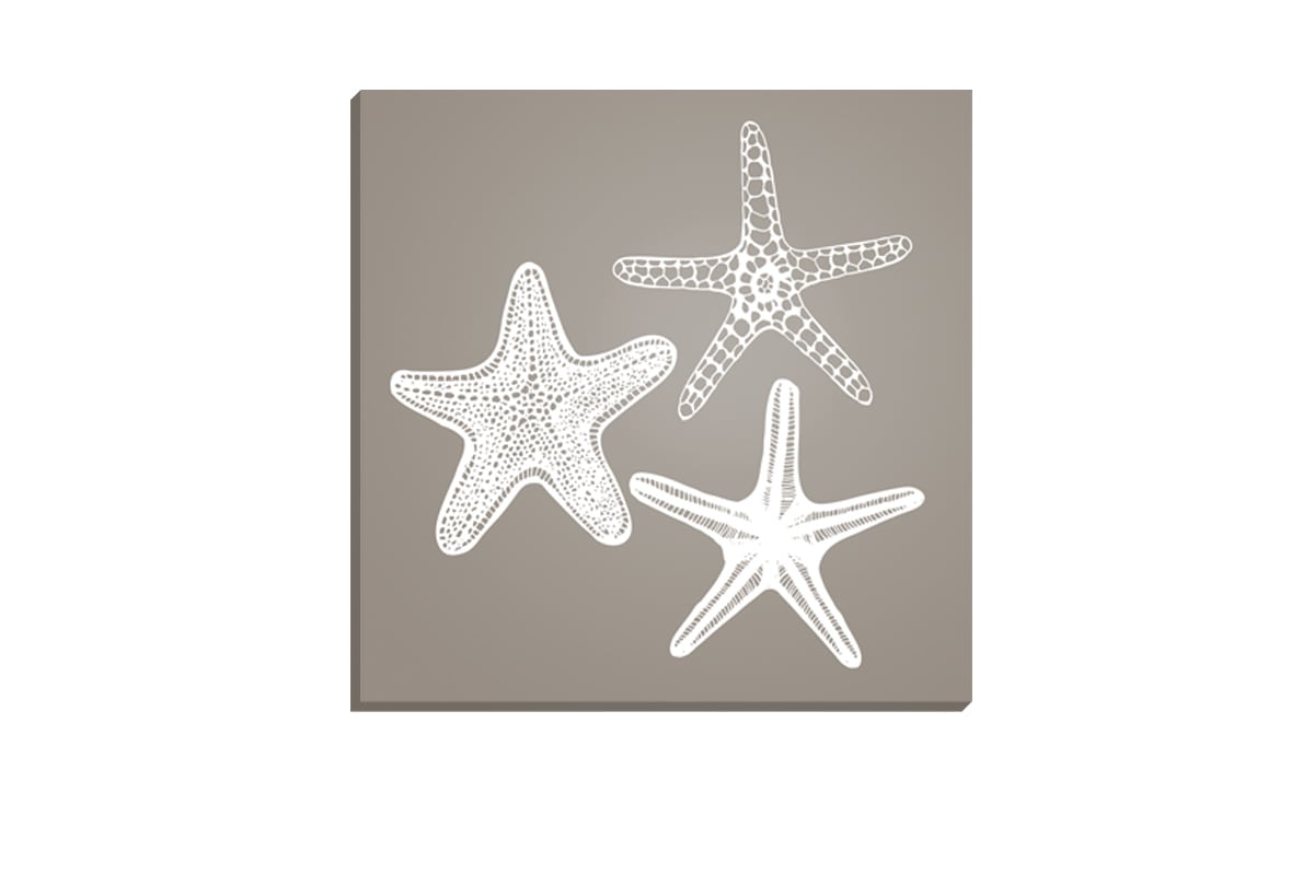 Star Fish White on Beige | Canvas Wall Art Print