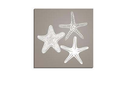 Star Fish White on Beige | Canvas Wall Art Print