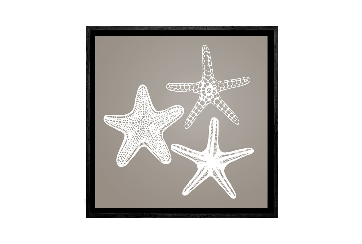 Star Fish White on Beige | Canvas Wall Art Print