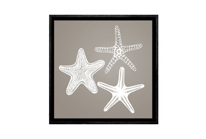 Star Fish White on Beige | Canvas Wall Art Print