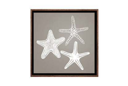 Star Fish White on Beige | Canvas Wall Art Print