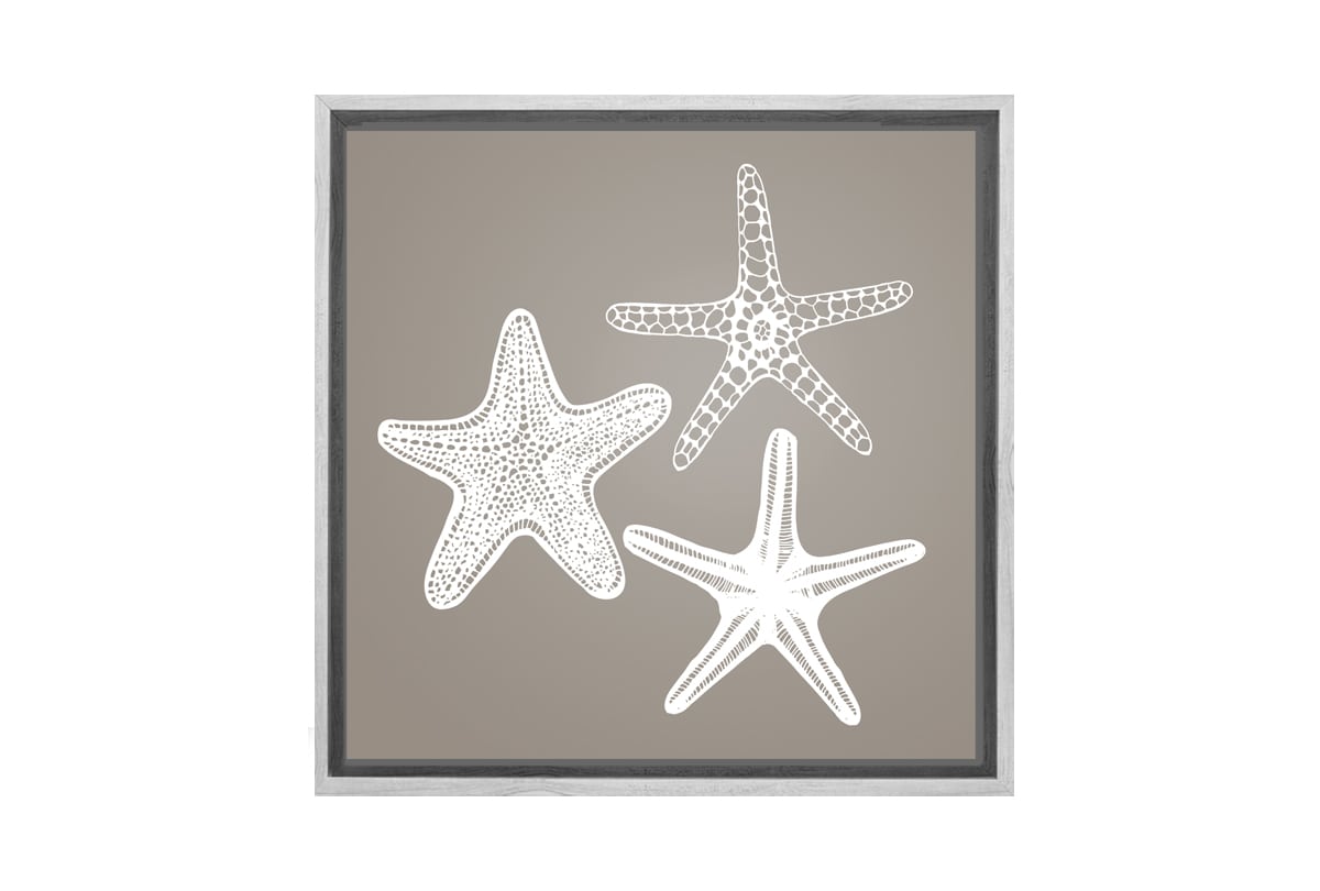 Star Fish White on Beige | Canvas Wall Art Print