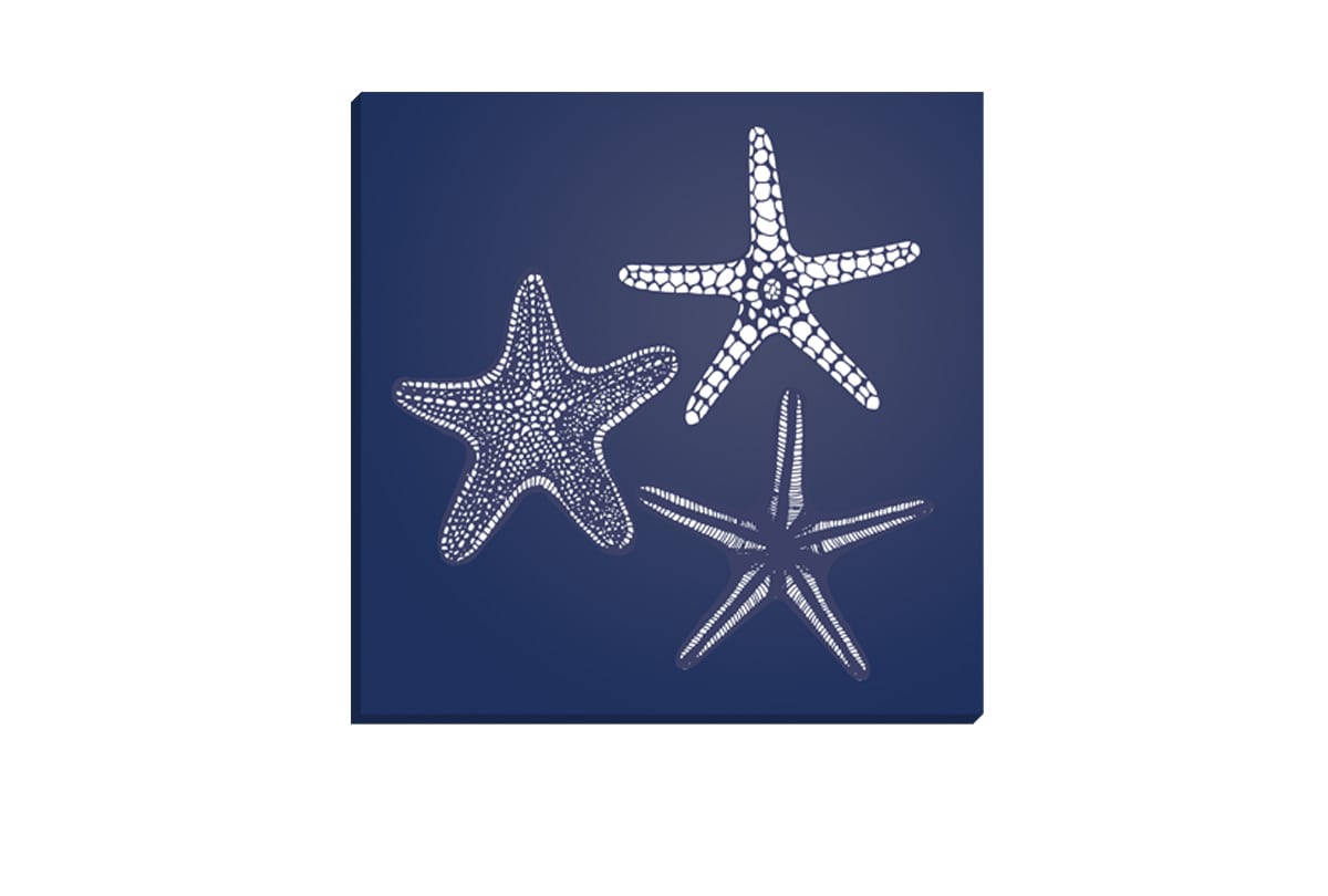 Star Fish 1 White on Navy | Canvas Wall Art Print
