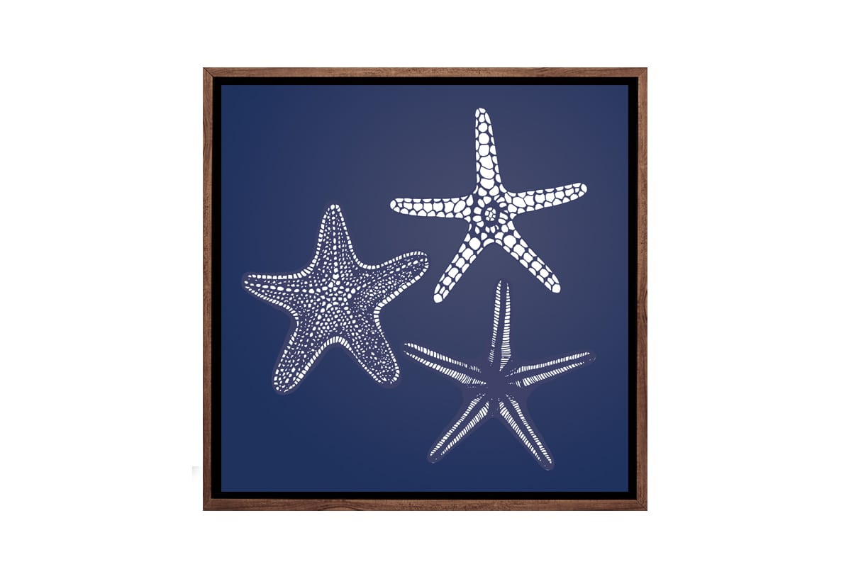 Star Fish 1 White on Navy | Canvas Wall Art Print