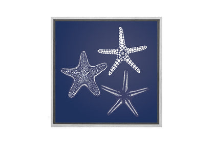 Star Fish 1 White on Navy | Canvas Wall Art Print