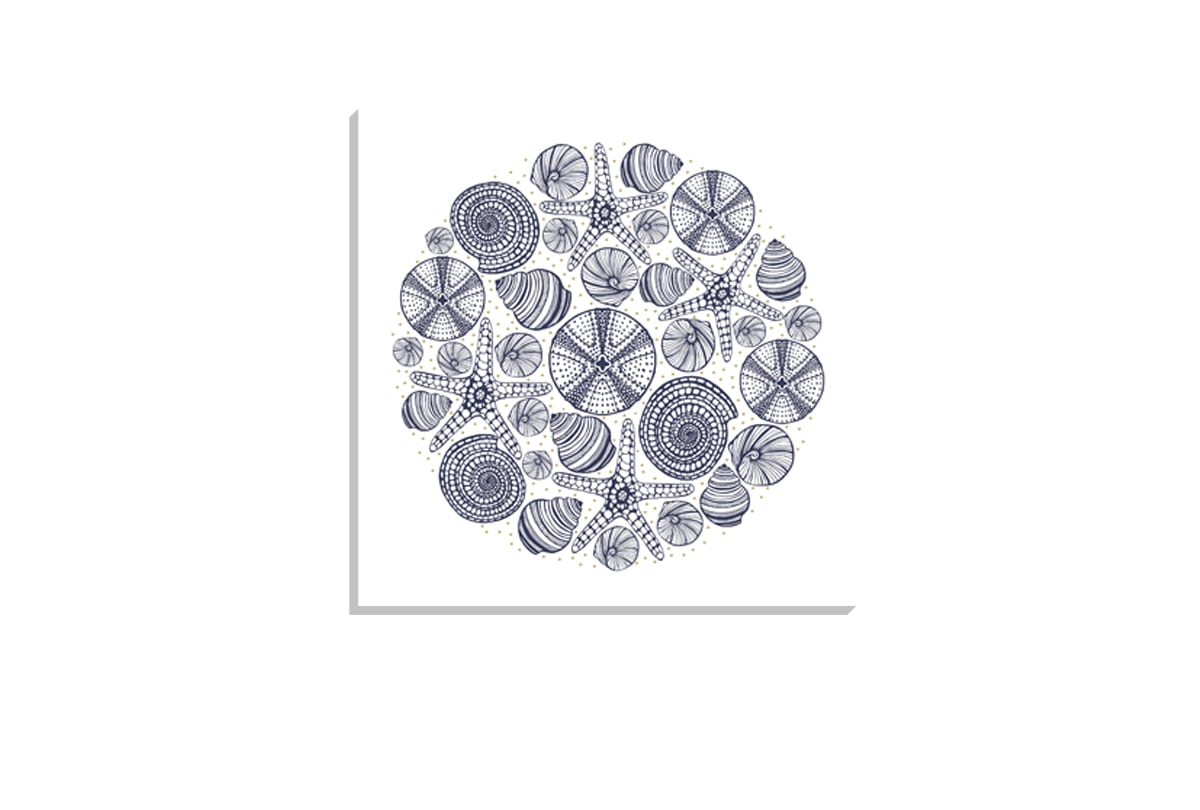 Shells Star Fish Navy on White | Canvas Wall Art Print
