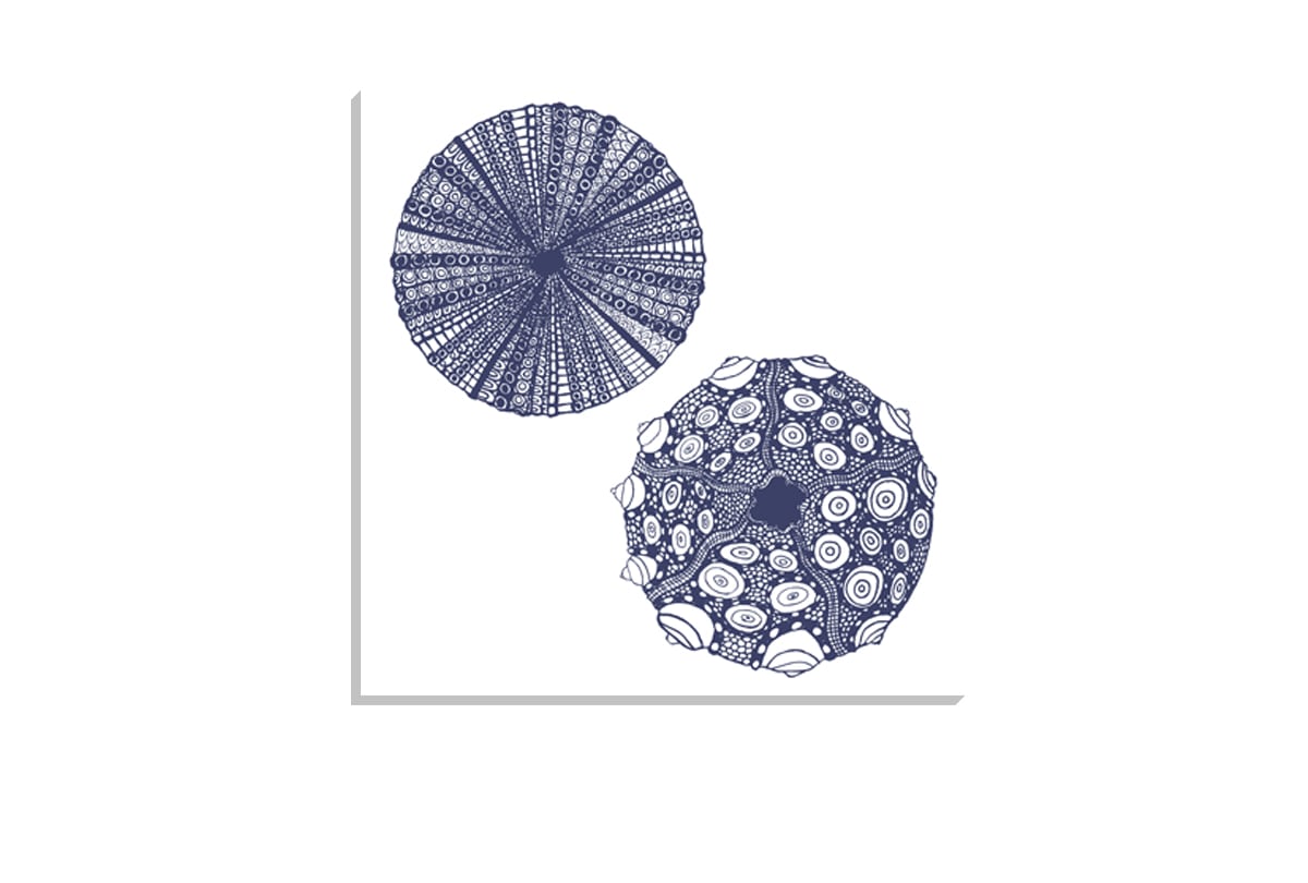 Anemone Navy on White | Canvas Wall Art Print