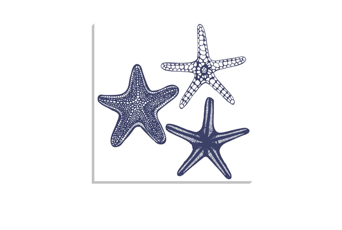 Star Fish Navy on White | Canvas Wall Art Print