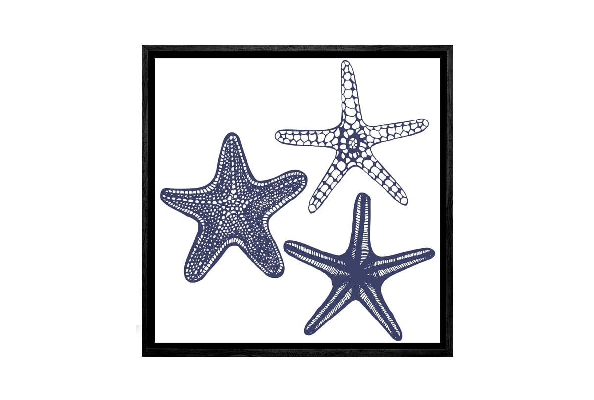 Star Fish Navy on White | Canvas Wall Art Print