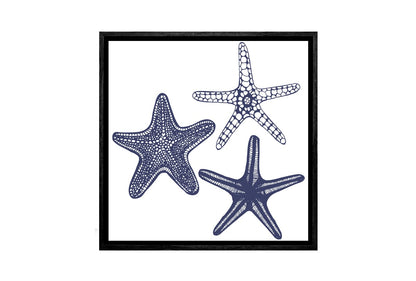 Star Fish Navy on White | Canvas Wall Art Print