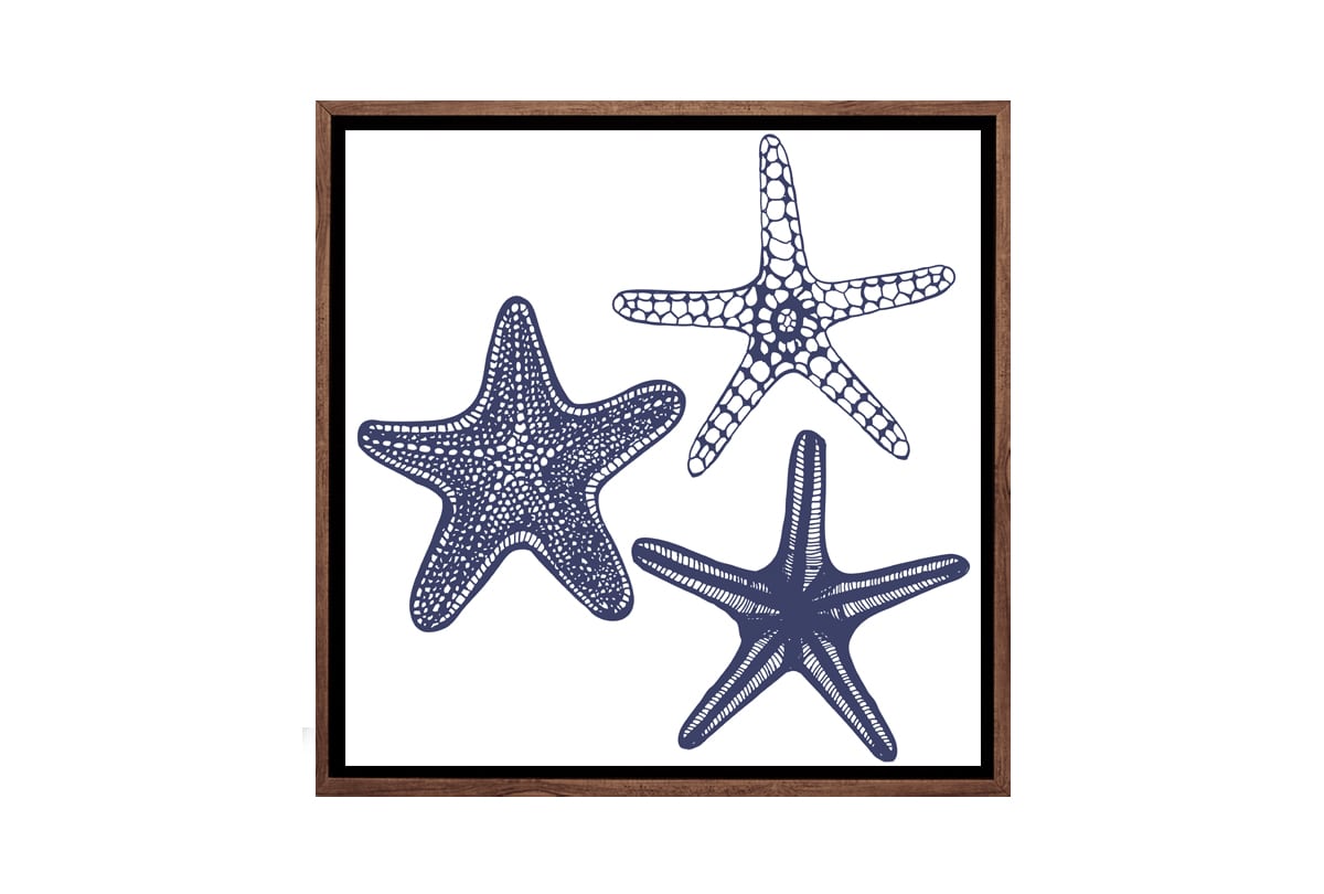 Star Fish Navy on White | Canvas Wall Art Print