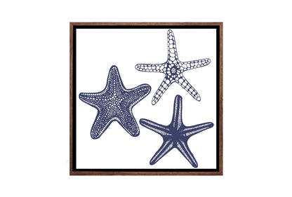 Star Fish Navy on White | Canvas Wall Art Print