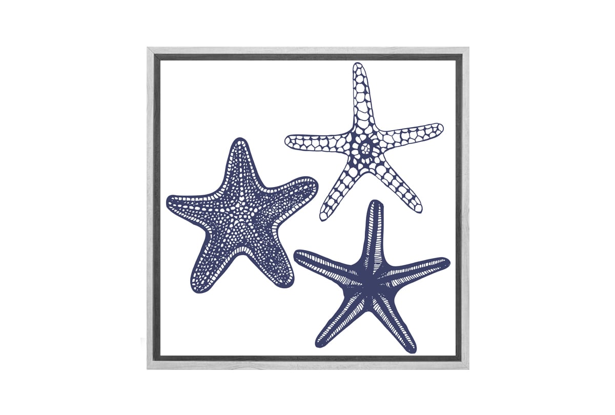 Star Fish Navy on White | Canvas Wall Art Print