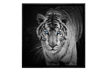 White Tiger 2 | Canvas Art Print