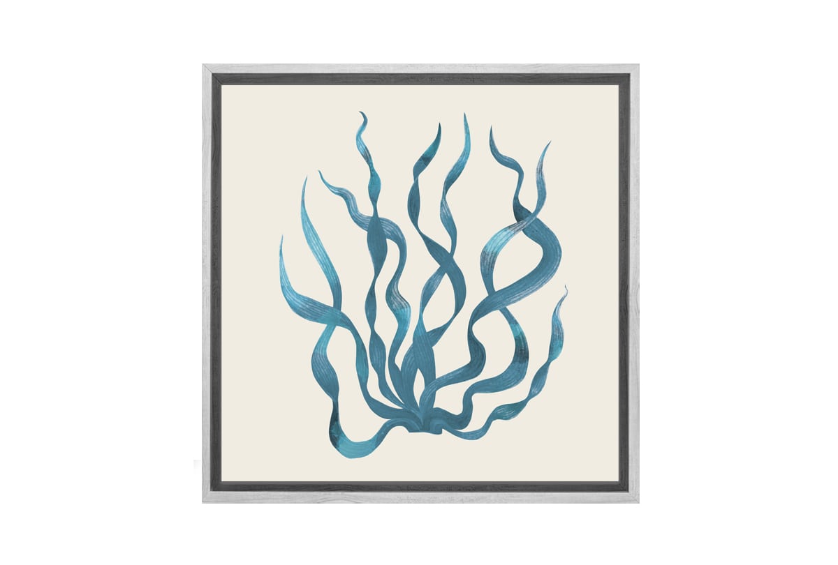 Seaweed 3 Turquoise | Canvas Wall Art Print