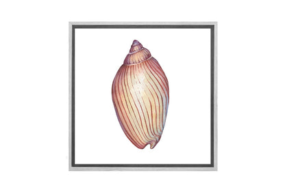 Shell 6 | Canvas Wall Art Print