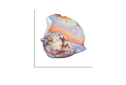 Shell 7 | Canvas Wall Art Print