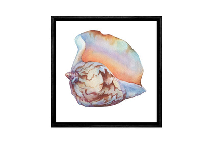 Shell 7 | Canvas Wall Art Print