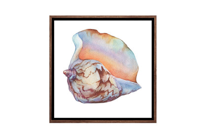 Shell 7 | Canvas Wall Art Print