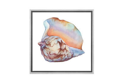 Shell 7 | Canvas Wall Art Print