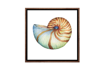 Nautilus Sea Shell | Canvas Wall Art Print