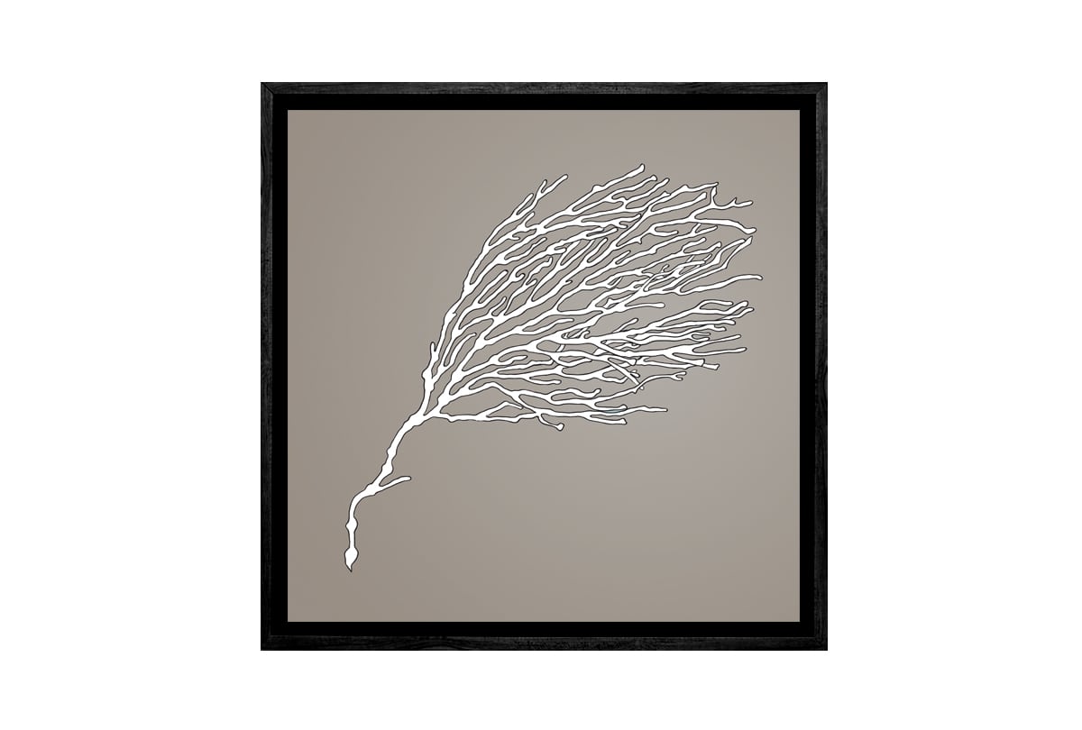 Fan Coral White on Beige | Canvas Wall Art Print