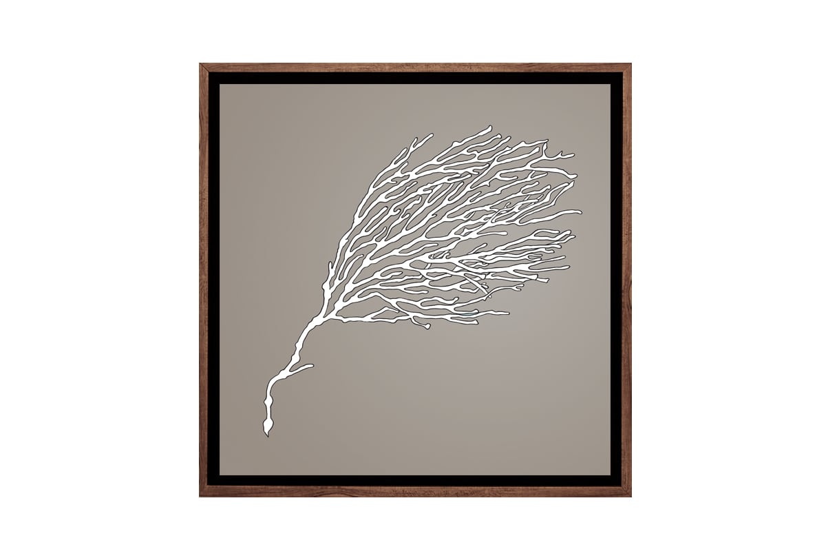 Fan Coral White on Beige | Canvas Wall Art Print