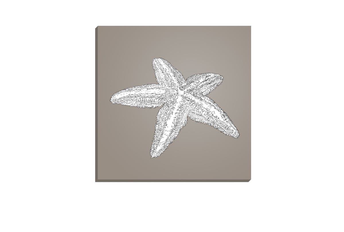 Star Fish White on Beige | Canvas Wall Art Print