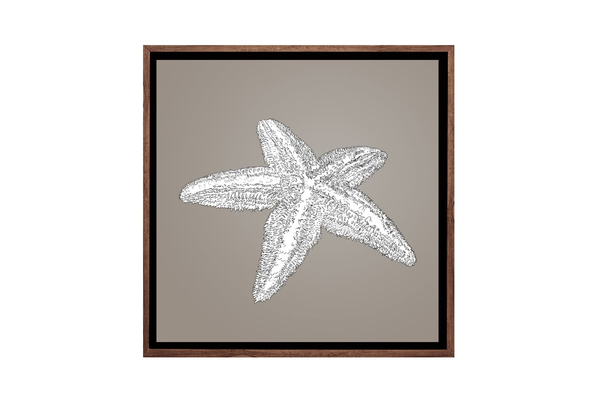 Star Fish White on Beige | Canvas Wall Art Print