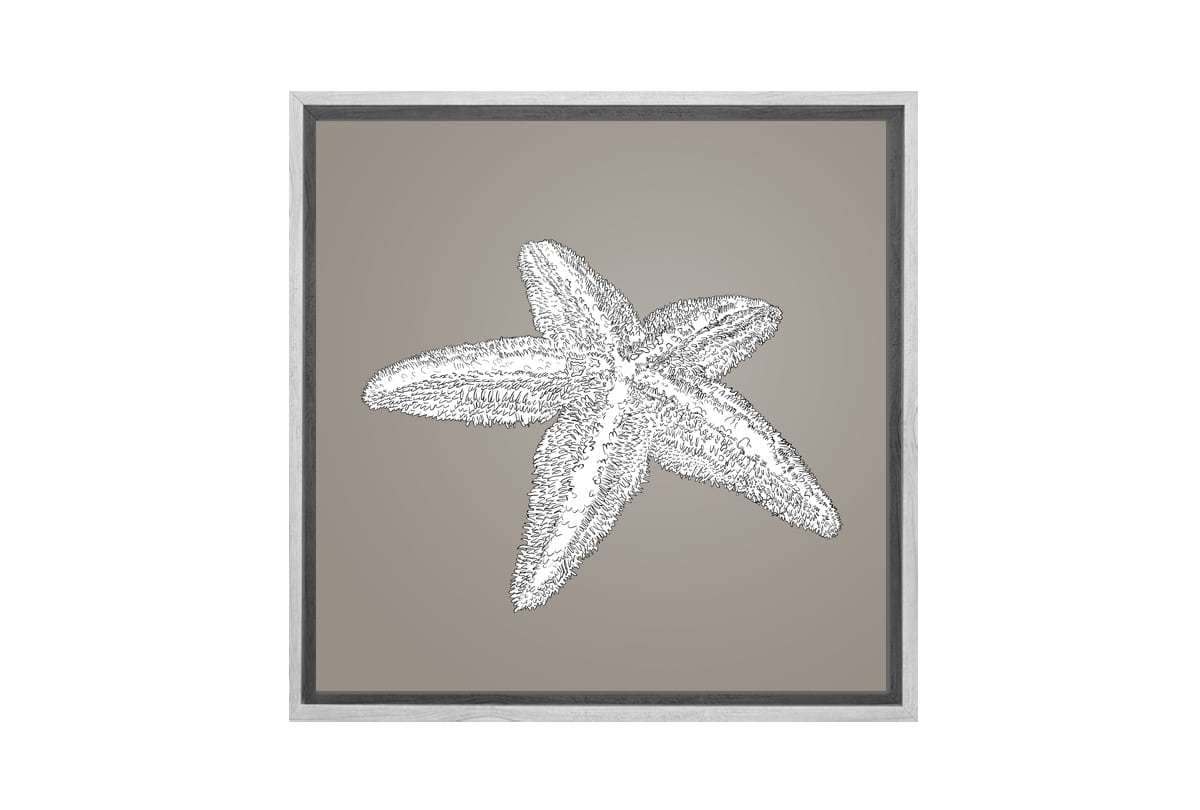 Star Fish White on Beige | Canvas Wall Art Print