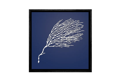 Fan Coral White on Navy | Canvas Wall Art Print