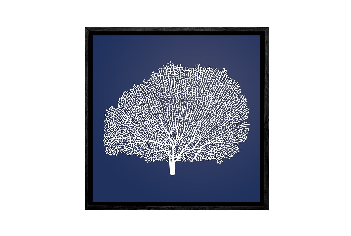 Fan Coral 2 White on Navy | Canvas Wall Art Print