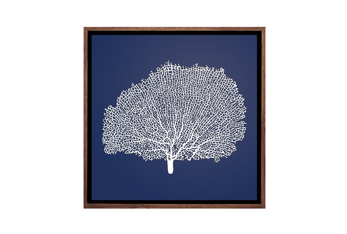 Fan Coral 2 White on Navy | Canvas Wall Art Print