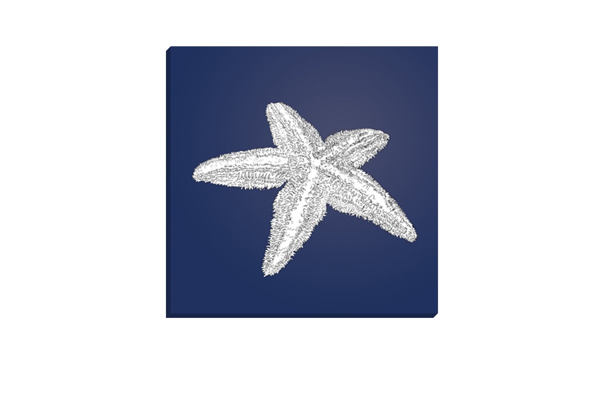 Star Fish White on Navy | Canvas Wall Art Print