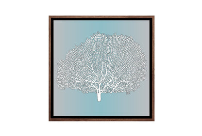 Fan Coral White on Teal | Canvas Wall Art Print