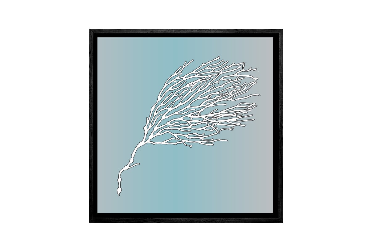 Fan Coral 2 White on Teal | Canvas Wall Art Print