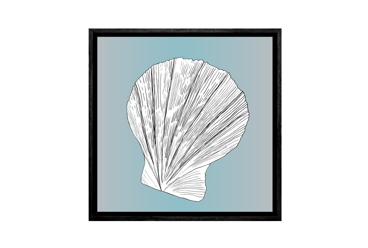 Shell 3 White on Teal | Canvas Wall Art Print