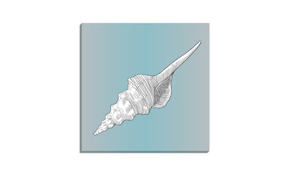 Shell White on Teal | Canvas Wall Art Print