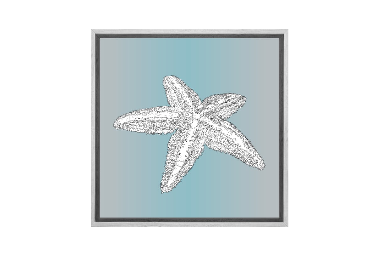 Star Fish White on Teal | Canvas Wall Art Print