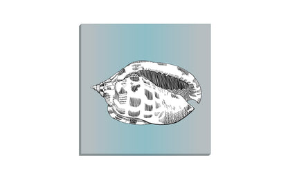Shell 2 White On Teal | Canvas Wall Art Print