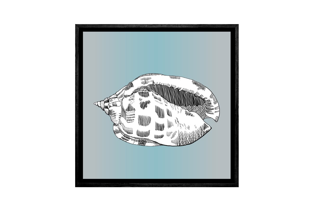 Shell 2 White On Teal | Canvas Wall Art Print