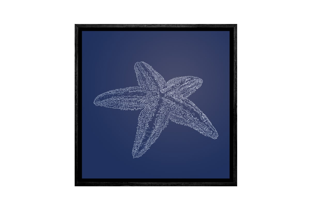 Star Fish 2 White on Navy | Canvas Wall Art Print