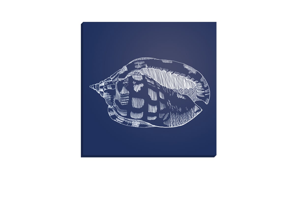 Shell 1 White on Navy | Canvas Wall Art Print