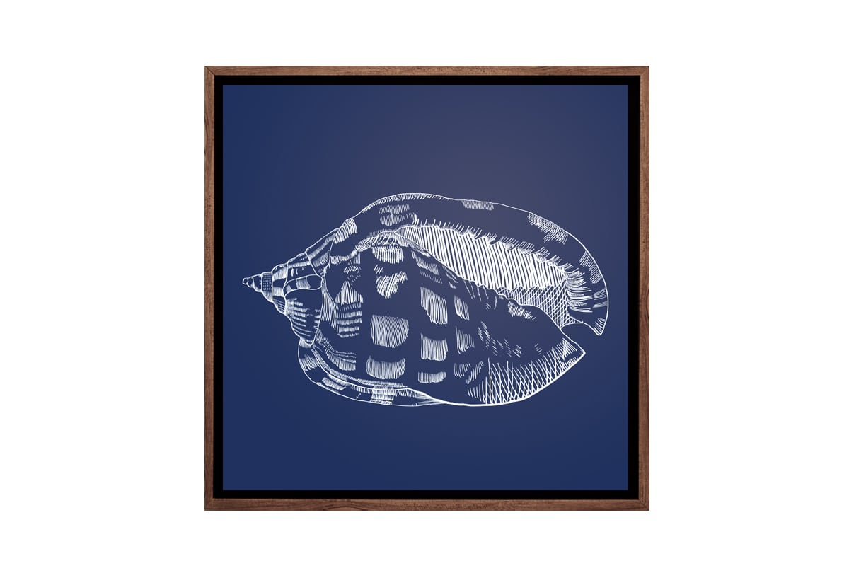 Shell 1 White on Navy | Canvas Wall Art Print