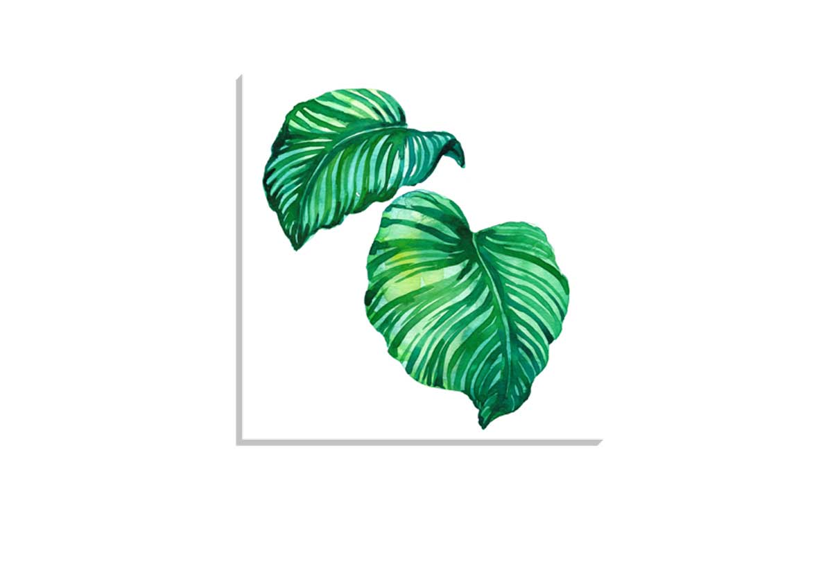 Tropical Leaves 3 | Canvas Wall Art Print
