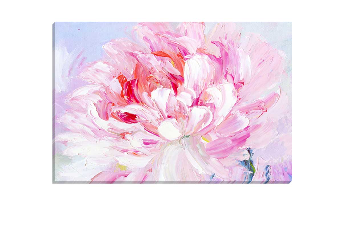 Pink Peony Bloom | Floral Canvas Wall Art Print