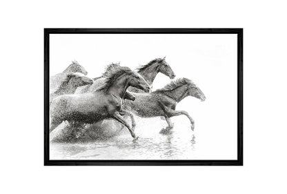 Wild Horses | Canvas Wall Art Print