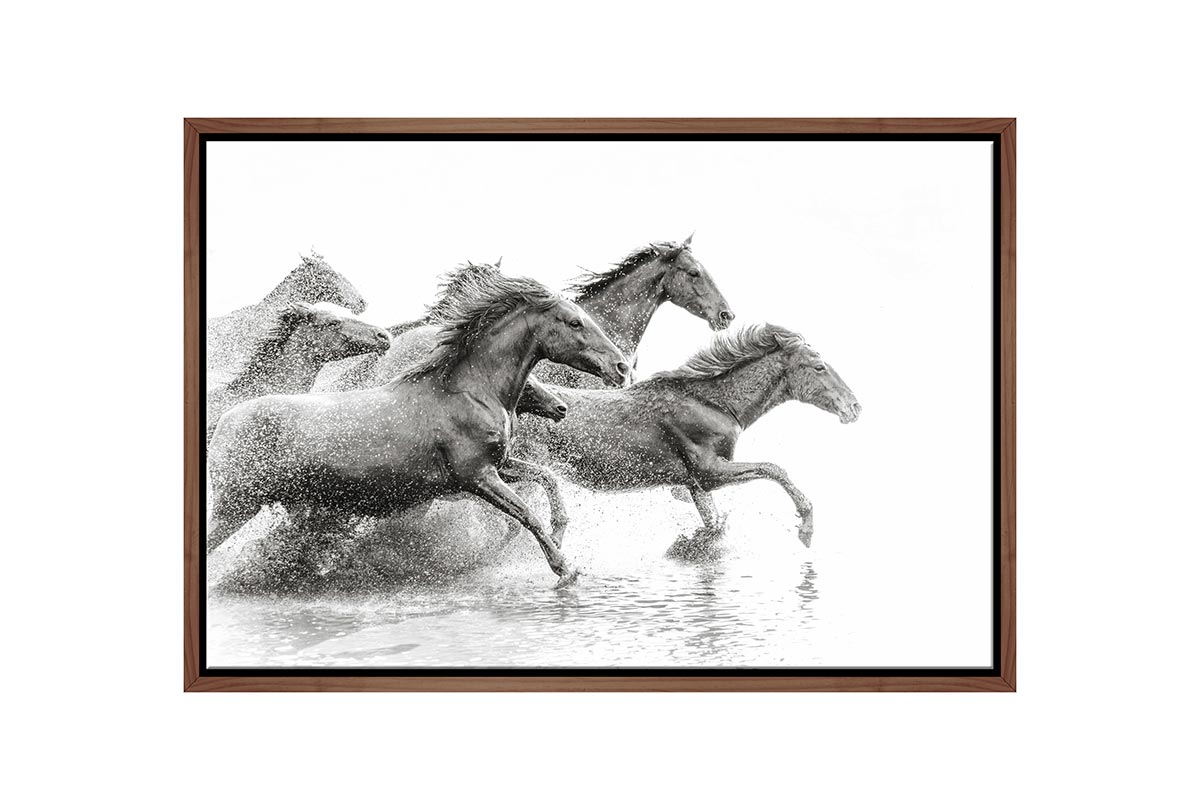 Wild Horses | Canvas Wall Art Print