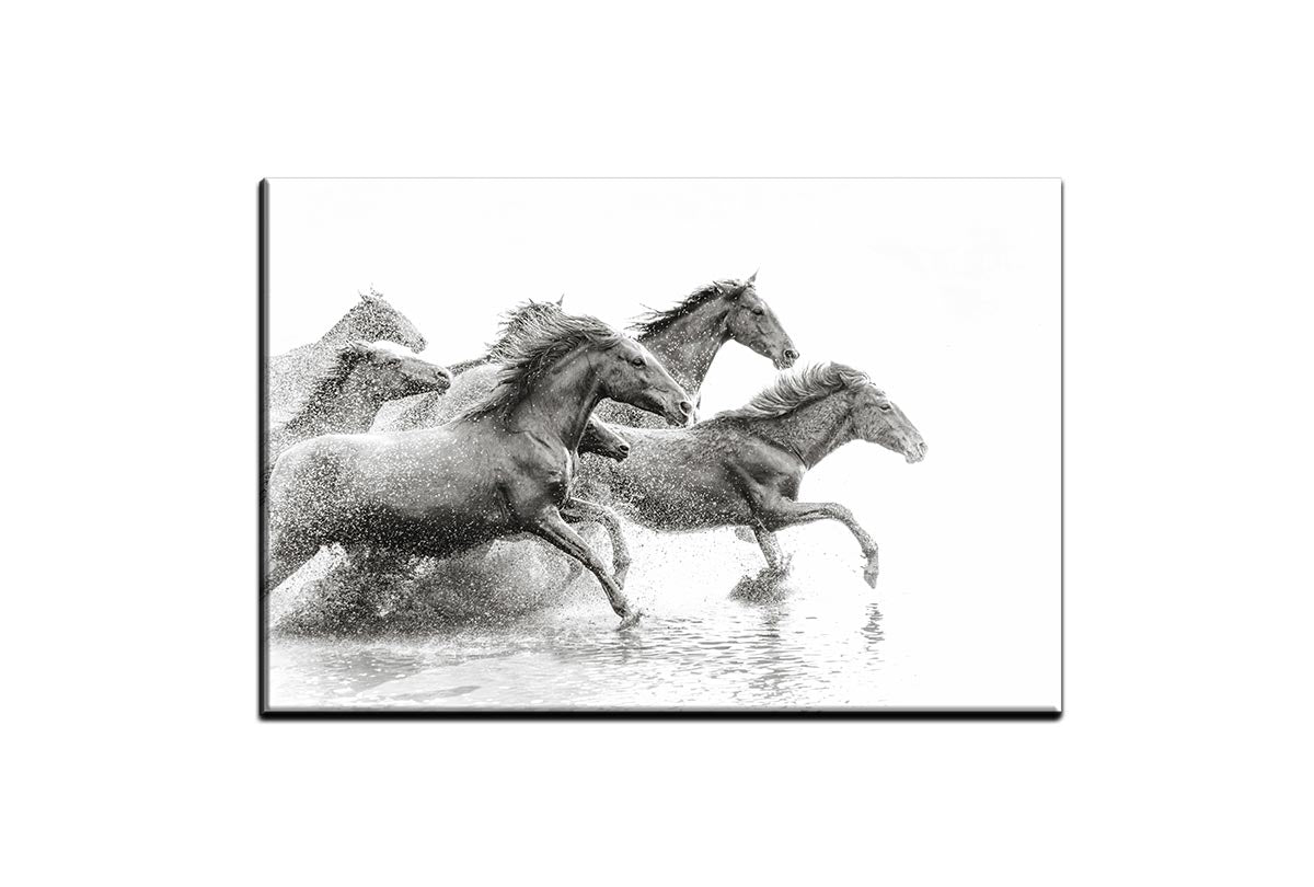 Wild Horses | Canvas Wall Art Print