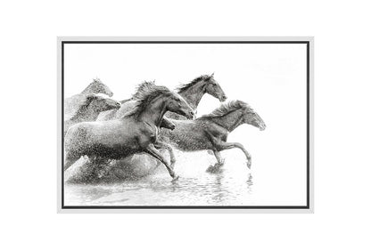 Wild Horses | Canvas Wall Art Print